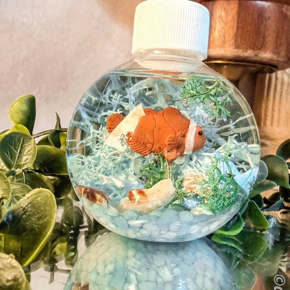 Mini Round Diy Aquarium